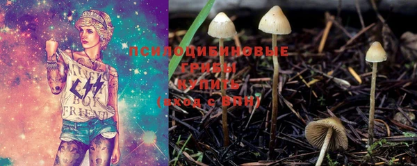 PSILOCYBIN Верхнеуральск